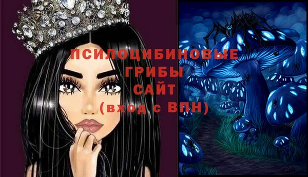 дживик Вяземский