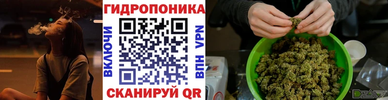 Канабис Bruce Banner  Заполярный 